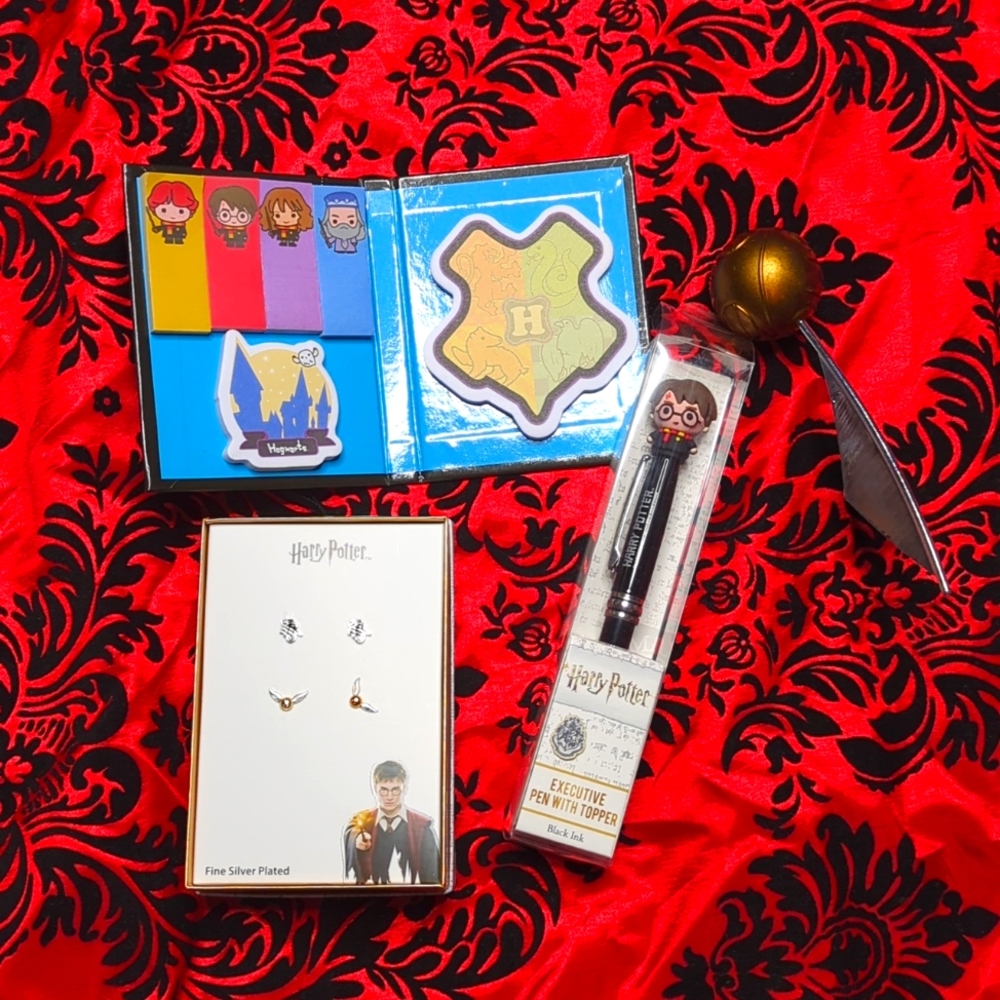 Harry Potter earrings and etc.
